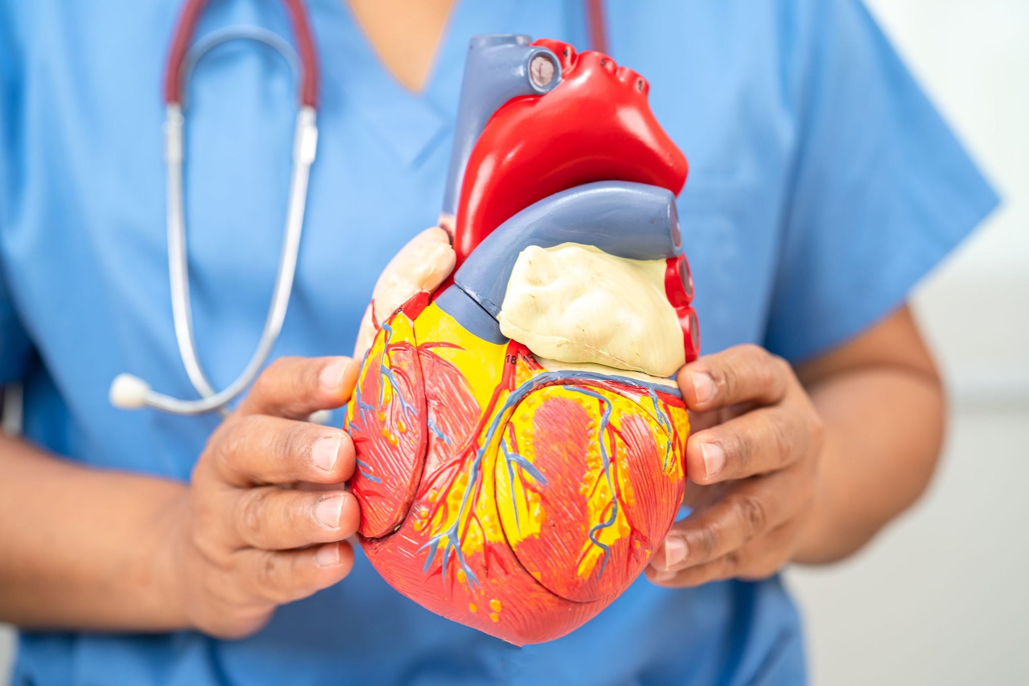 La importancia del DHA en la Salud Cardiovascular