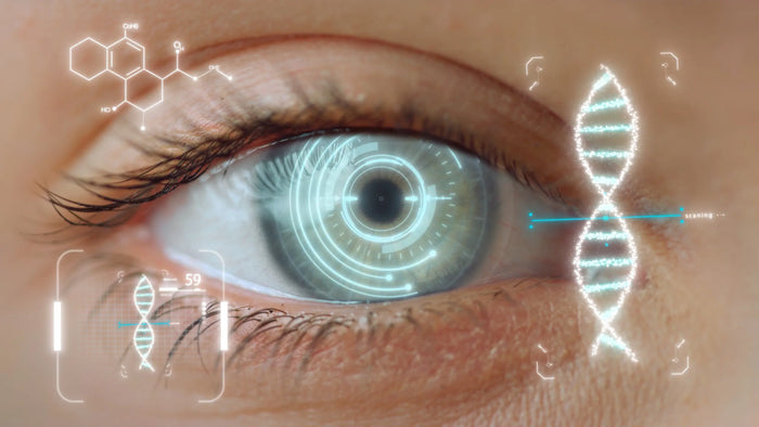 ¿Por qué el DHA es tan importante para tus ojos?