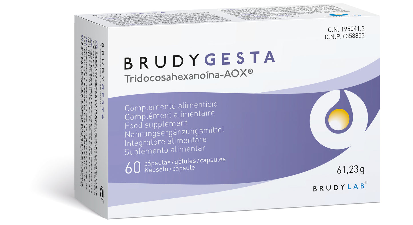Brudy Gesta