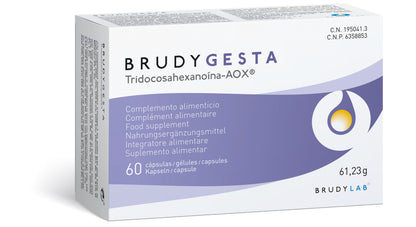 Brudy Gesta