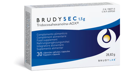 BRUDY SEC