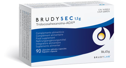BRUDY SEC